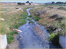 Du Noon Stormwater Outfall