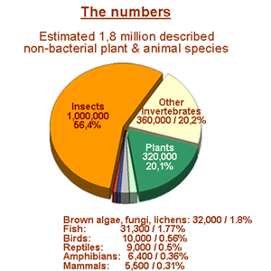 Numbers of Species